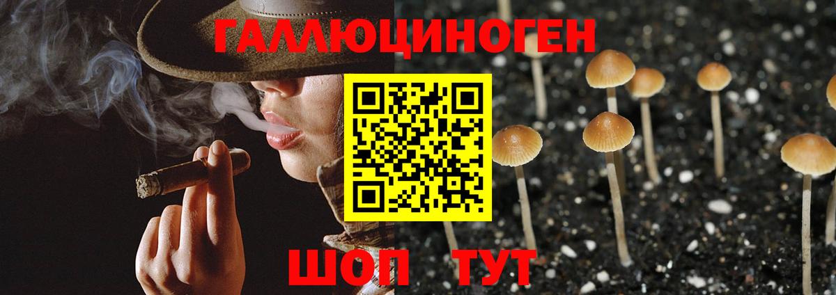 Галлюциногенные грибы Psilocybine cubensis Изобильный